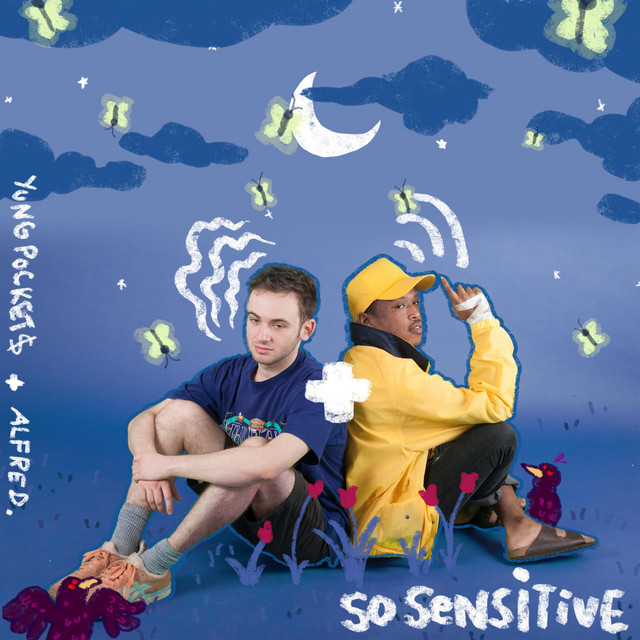 So Sensitive cover art