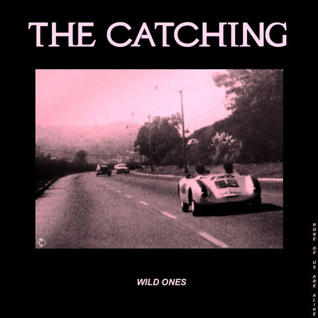 Wild Ones cover