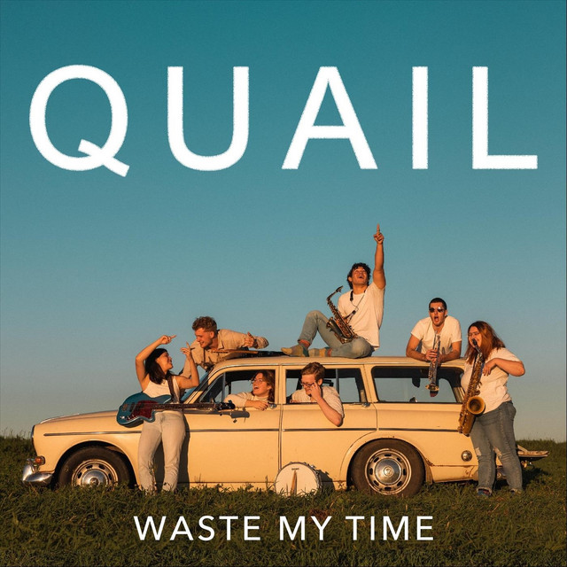 Waste My Time cover art