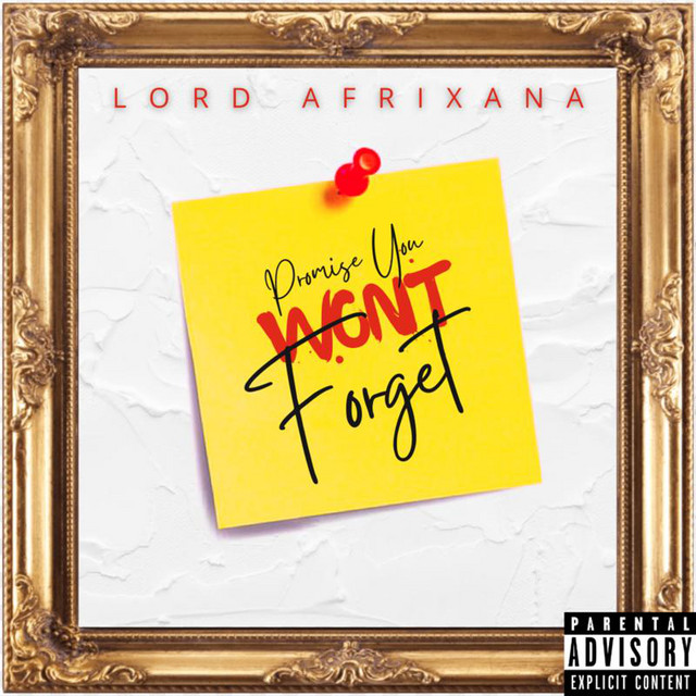 Promise You Wont Forget cover art