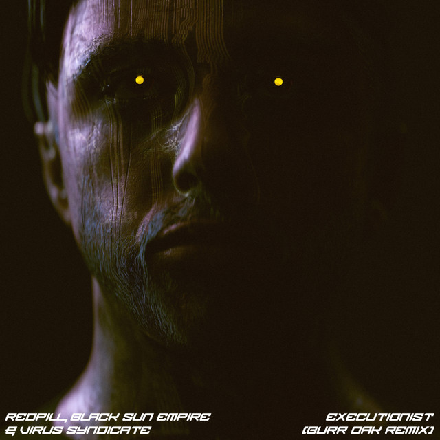 Executionist cover