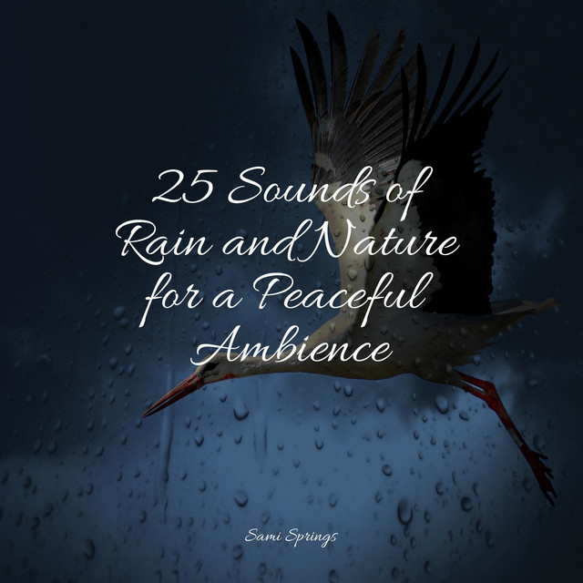 25 Sounds of Rain and Nature for a Peaceful Ambience - Album by ...