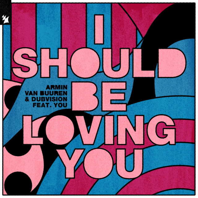 I Should Be Loving You (feat. YOU)