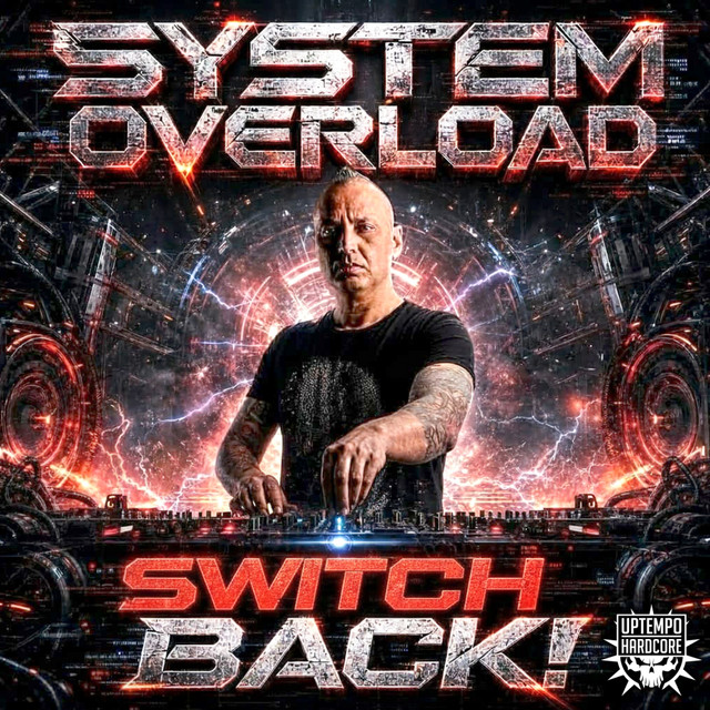 Switch Back cover