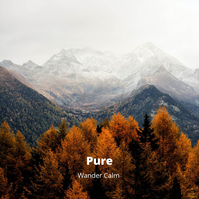 Pure cover art