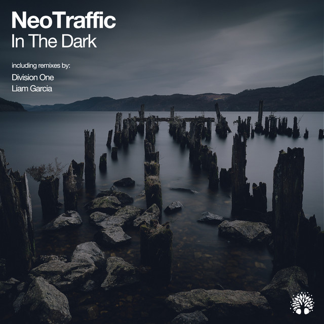 In the Dark cover art