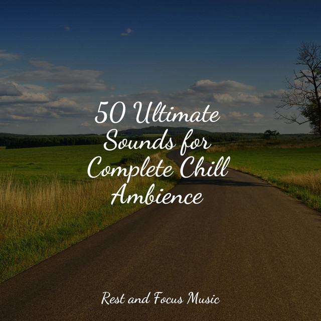 50 Ultimate Sounds for Complete Chill Ambience - Album by Kinderlieder ...