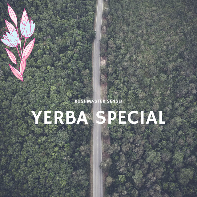 Yerba Special cover art