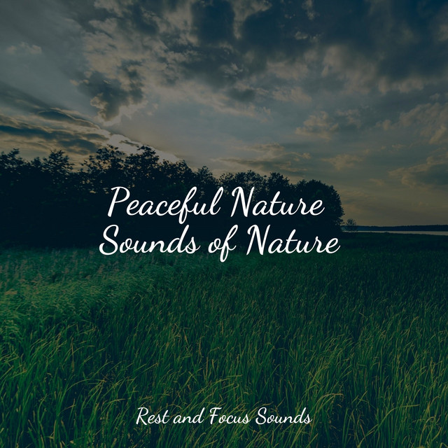 Peaceful Nature Sounds of Nature - Album by Spa Relaxation | Spotify