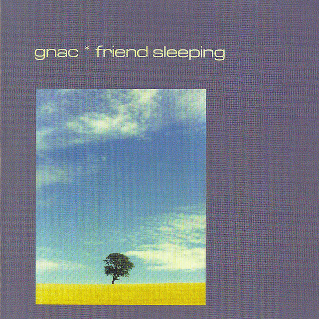 Friend Sleeping cover art