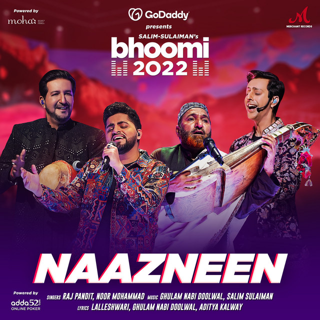 Naazneen cover art