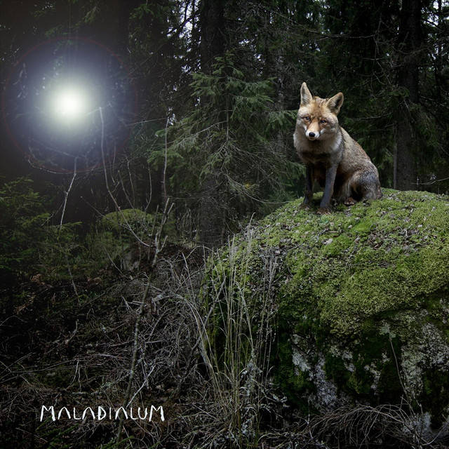 Amaranta cover