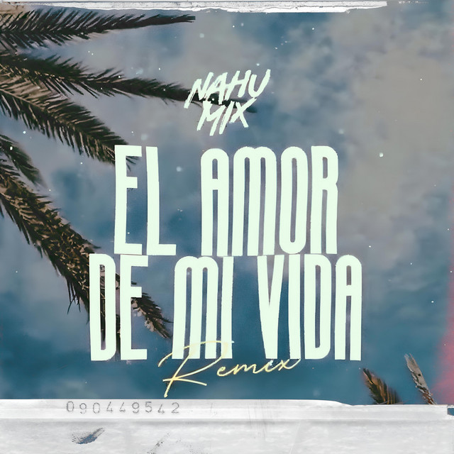 El Amor De Mi Vida - Remix