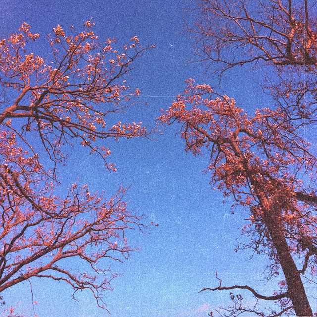Attachment (Remastered) cover art