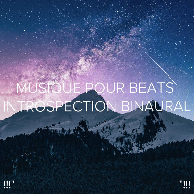 !!!"Musique Pour Beats Introspection Binaural"!!! cover art