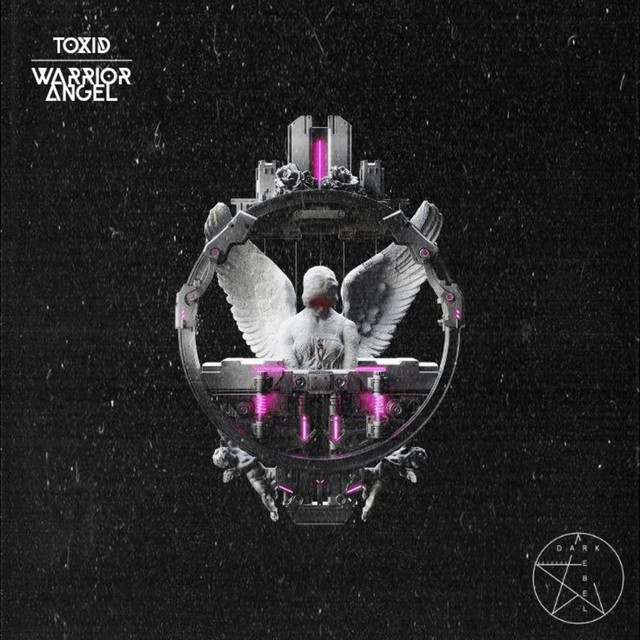 Обкладинка: Warrior Angel - Original Mix — Toxid