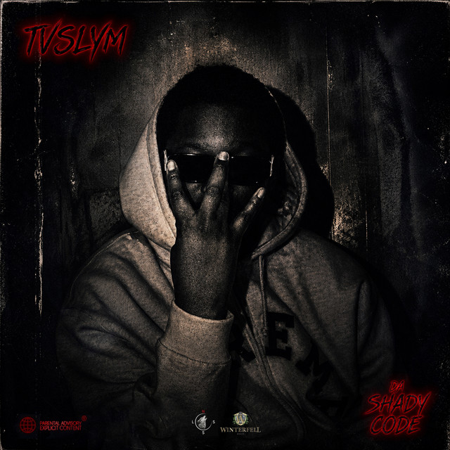 L.T.P cover art