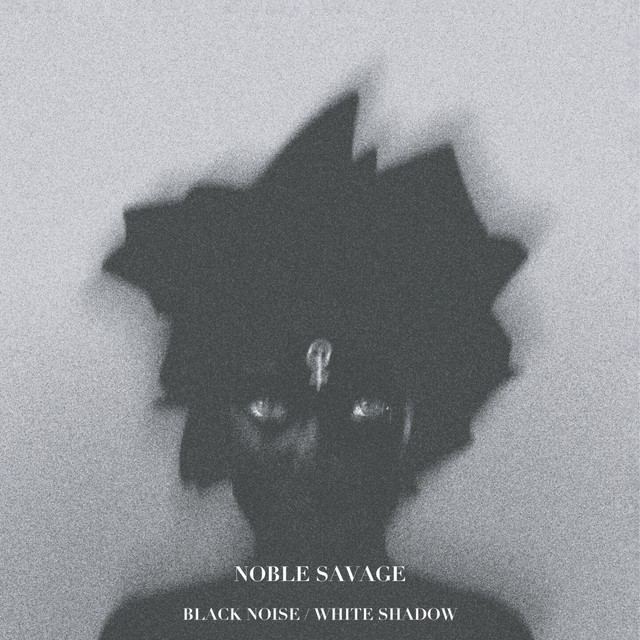 Black Noise / White Shadow cover art