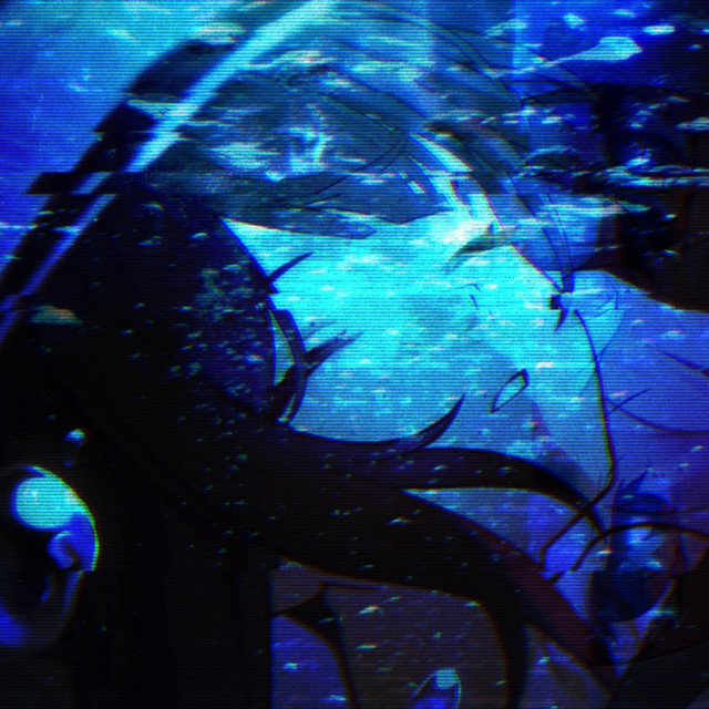 pelagic cover art