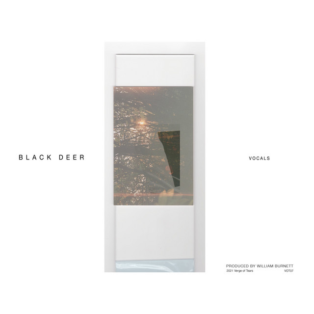 Apple Engineer album art