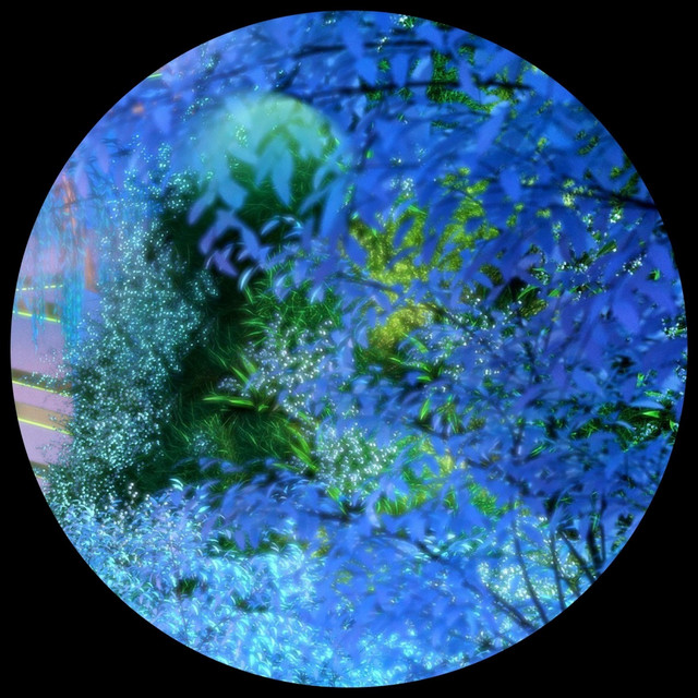 Wind cover art