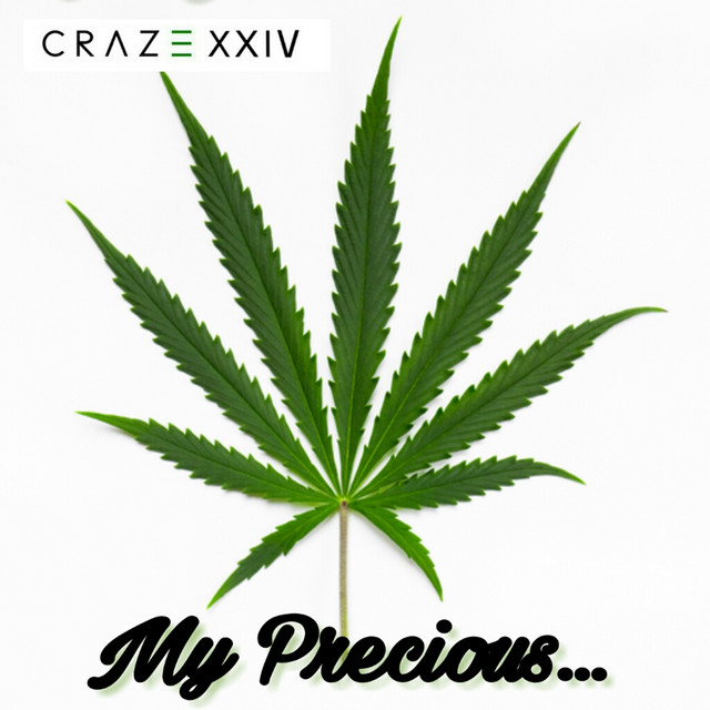 My Precious cover