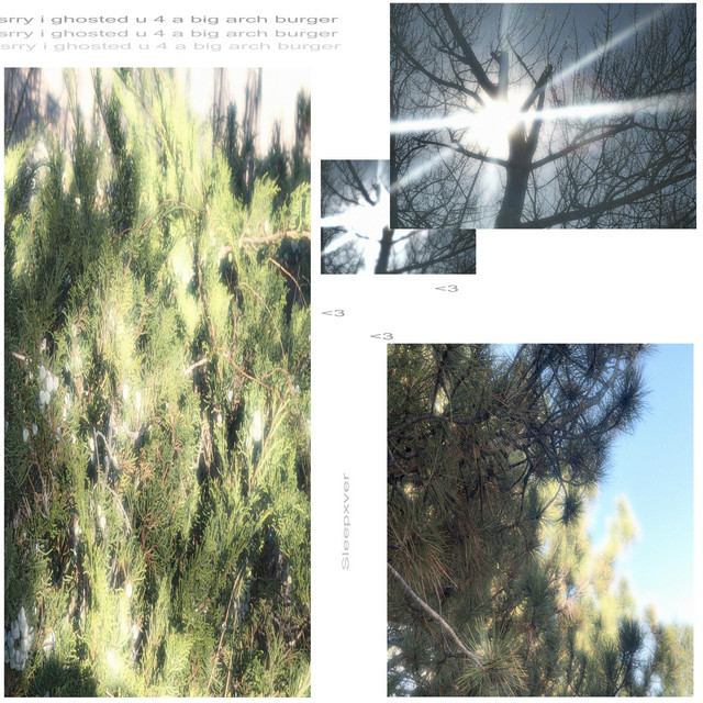 srry i ghosted u 4 a big arch burger