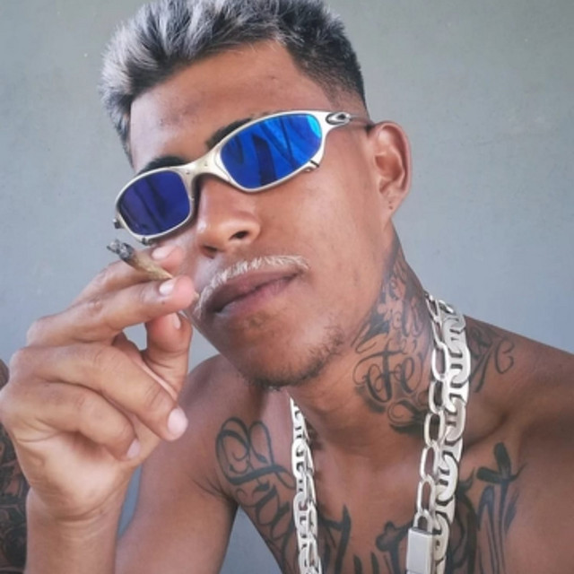 CORTIN AMERICANO
