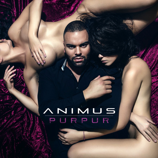 Purpur (Standard Edition) cover art