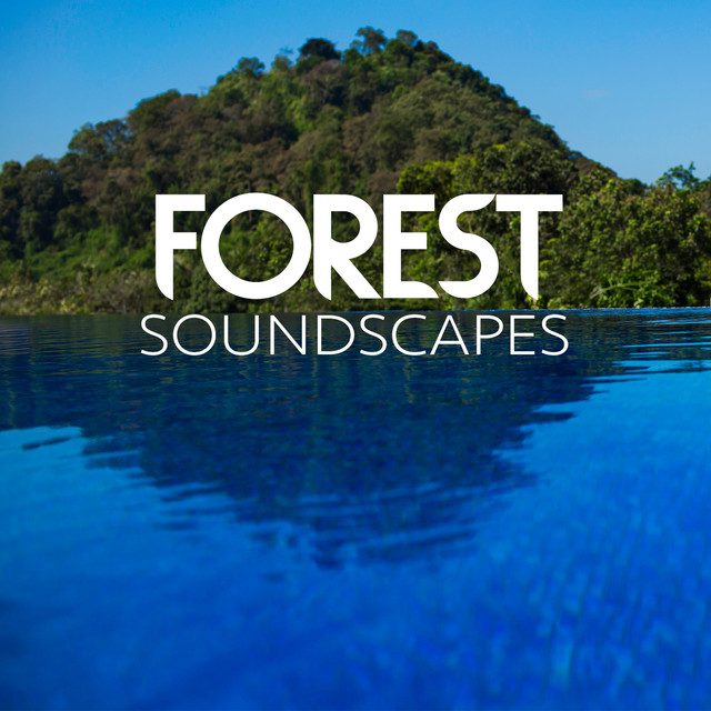 Forest Soundscapes cover art