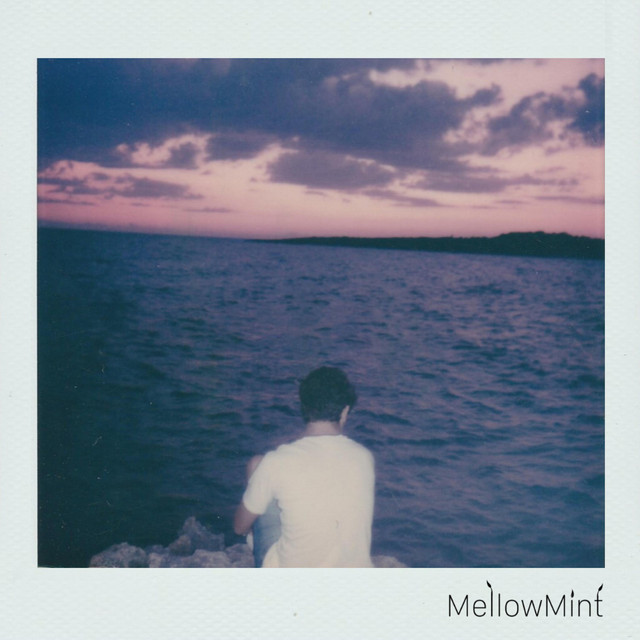 late nights in the middle of june - Single by MellowMint | Spotify