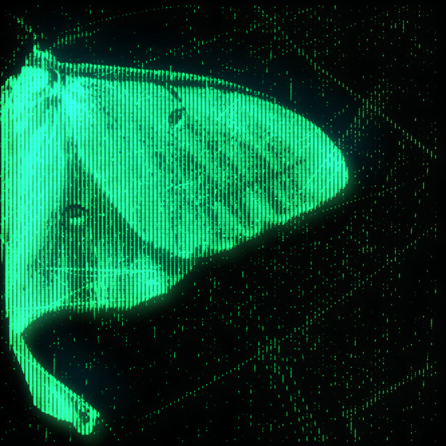Motten cover art