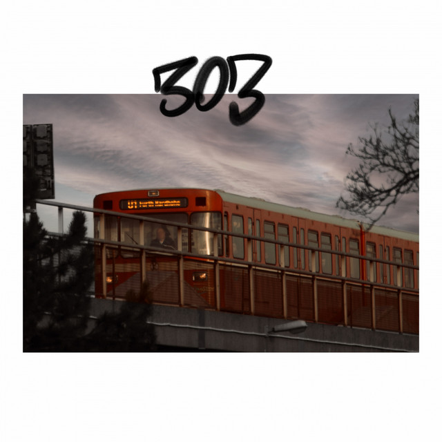 303 cover art
