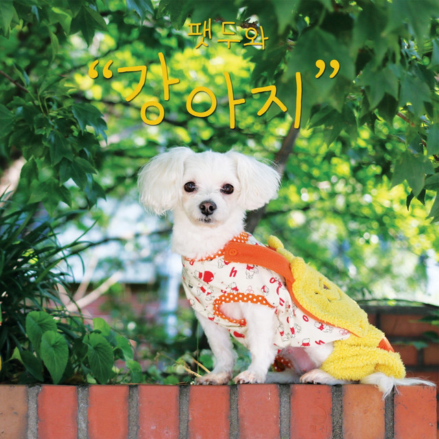 FatDoo and puppy(팻두와 강아지) cover art