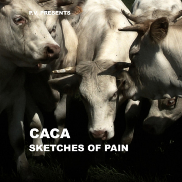 Sketches of Pain cover art