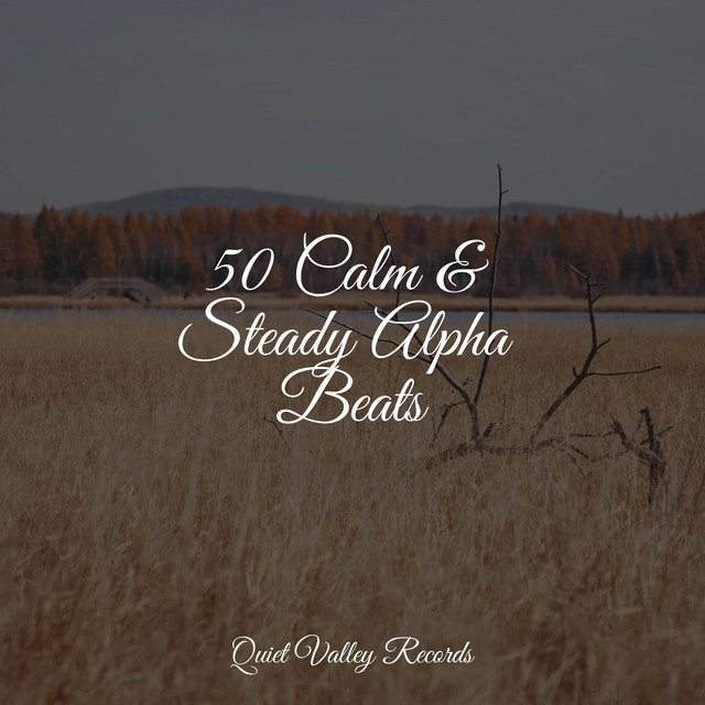 50 Calm & Steady Alpha Beats cover art