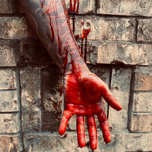 Scars cover art
