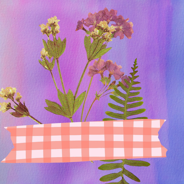 Music for Softer Diamonds (Harmonica Solo) cover art