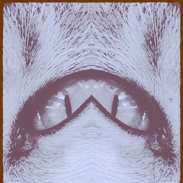 Live Garage cover art