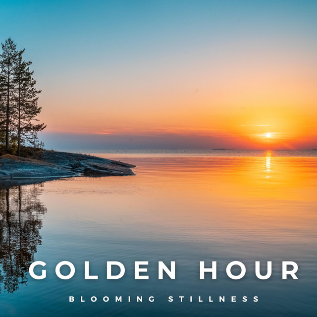 Blooming Stillness