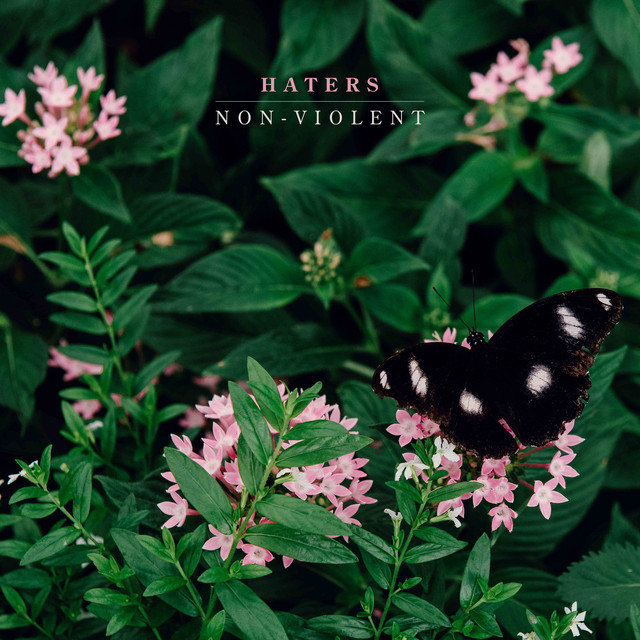 Non-Violent cover art