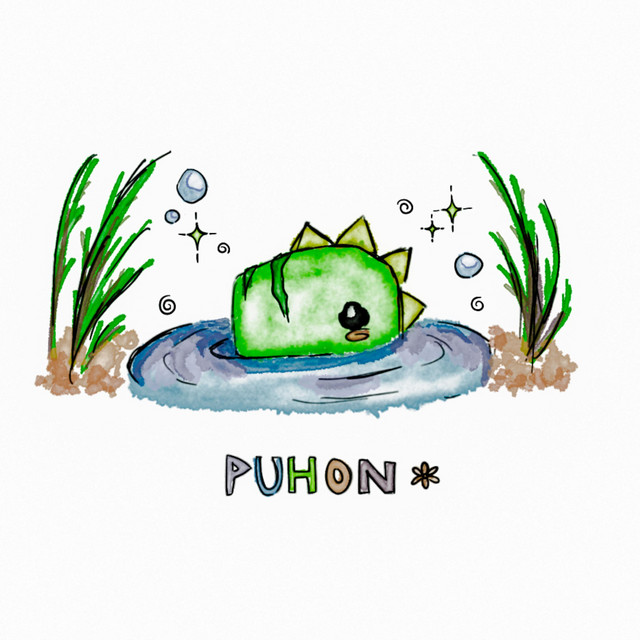Puhon cover art