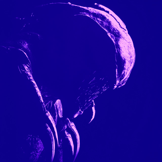 Обкладинка: Bem Vido Ao Circo - Slowed — GabiX