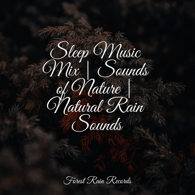 Sleep Music Mix | Sounds of Nature | Natural Rain Sounds - Album by ...