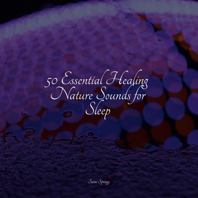 50 Essential Healing Nature Sounds for Sleep - Album by The Rainforest ...