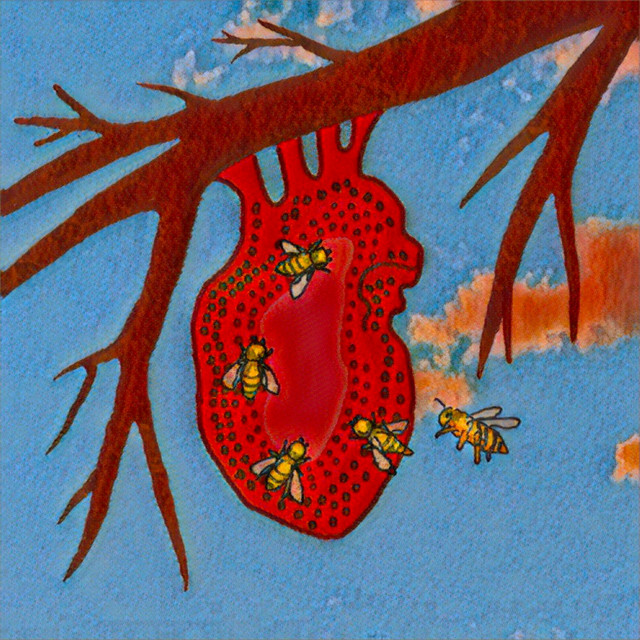 Love Can Also Sting cover art