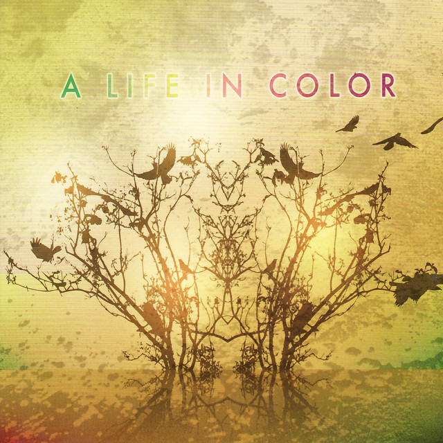 A Life In Color cover