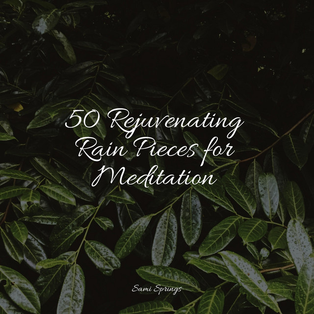 50 Rejuvenating Rain Pieces for Meditation cover art