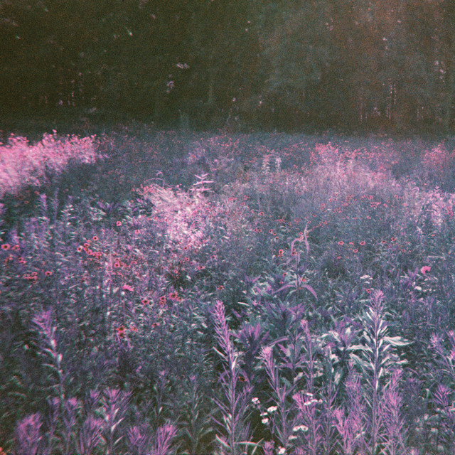 Procession cover art