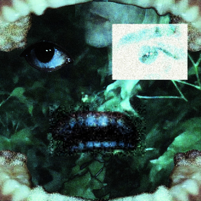 teeth cover art